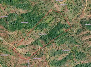 215 Tolowa Rd, Igo, CA 96047