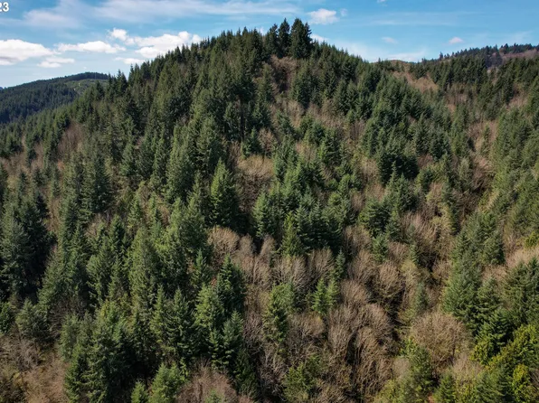 Rocky Point Rd, Scappoose, OR 97056