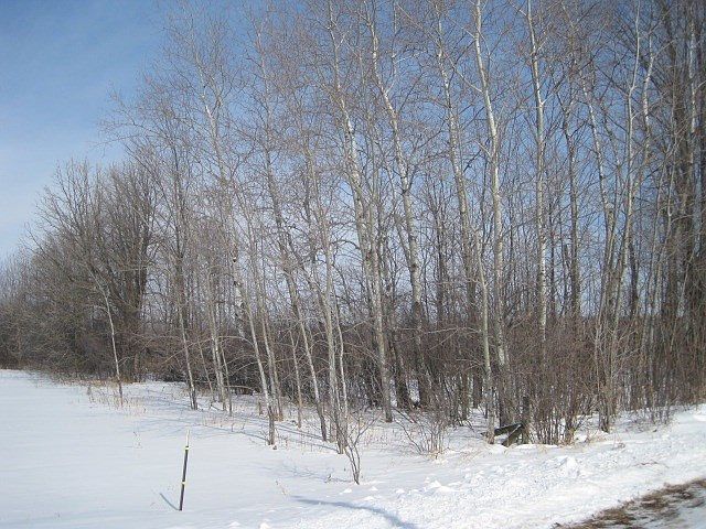 2nd image of LOT 1 Fox Ln