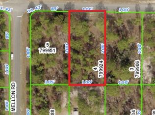 11314 Tinamou Ave, Brooksville, FL 34614