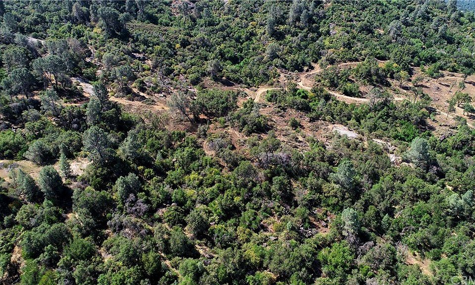 1st image of 4272 Bluebonnet Ln