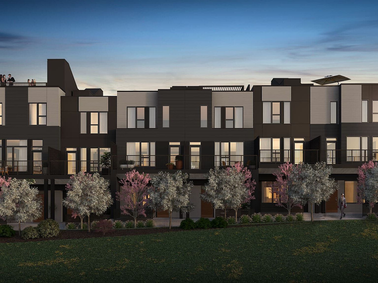 Alameda Walkout with Rooftop Plan, Townhomes Collection in Crown Park