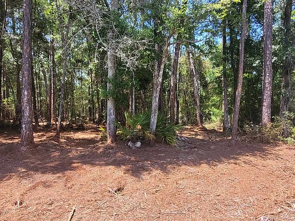 2nd image of 0 Blountstown Hwy
