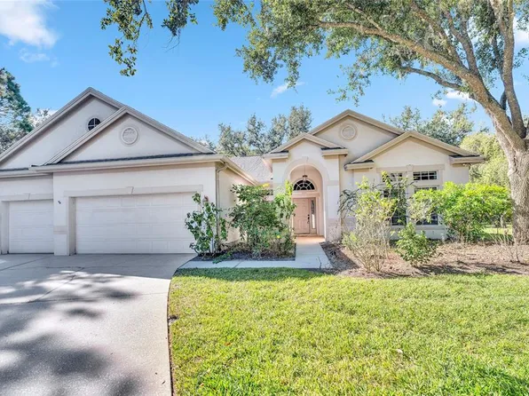 10218 Shadow Branch Dr, Tampa, FL 33647