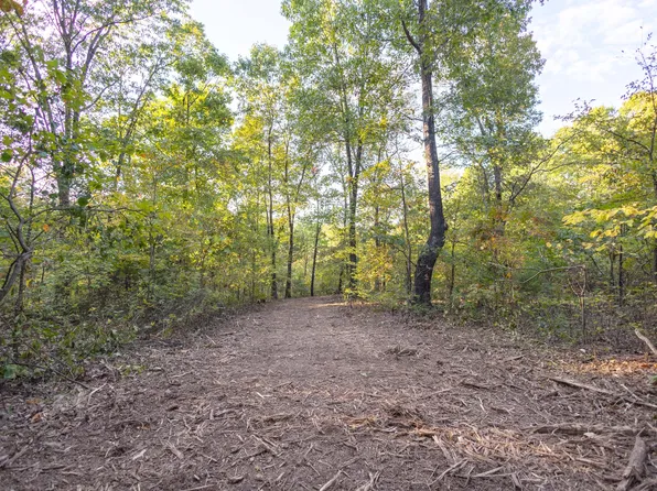 000 State Hwy C #Tract 7, Purdy, MO 65734
