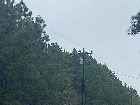 2nd image of Highway 26 & Three Pine Church