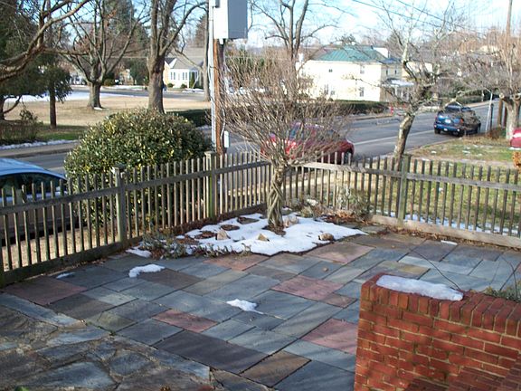 Front yard