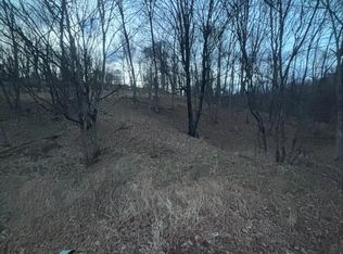 Lost Run Rd, Levels, WV 25431