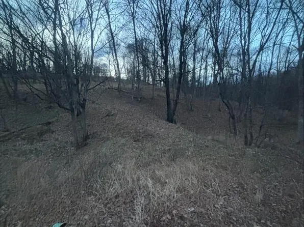 Lost Run Rd, Levels, WV 25431