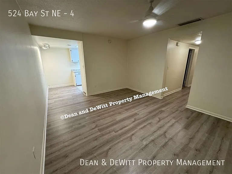524 Bay St NE #4 — Photo 3