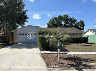 717 Sunlit Ct, Brandon, FL 33511
