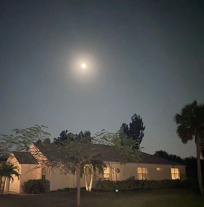 1st image of 9306 Frangipani Dr