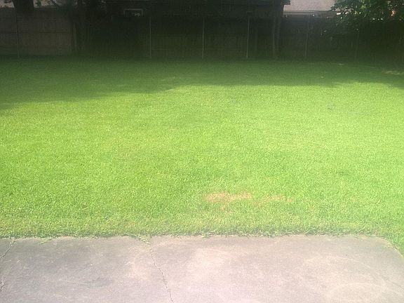 3rd image of 133 Heather St