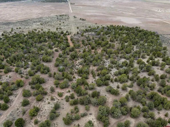 TBD County Road 319, Ignacio, CO 81137