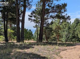 2847 N Mountain Estates Rd, Florissant, CO 80816