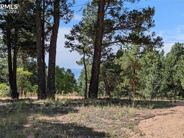 2847 N Mountain Estates Rd, Florissant, CO 80816