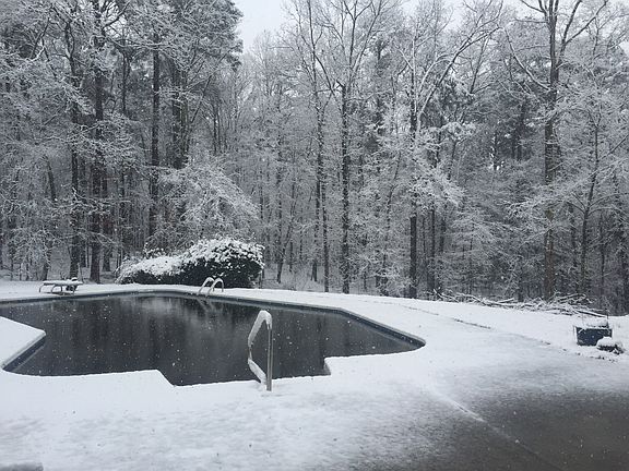 Back yard - 2 wooded acres