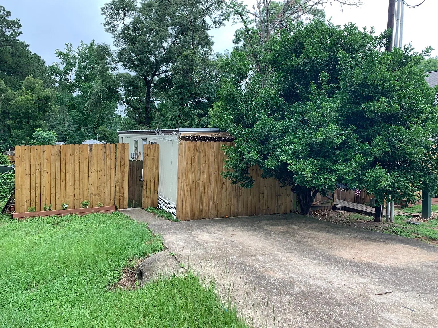 1 bed, 1.0 bath, $800 — Photo 2
