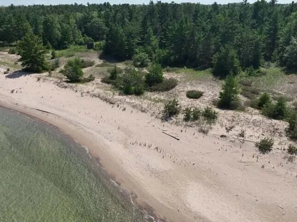 32568 E Side Dr, Beaver Island, MI 49782