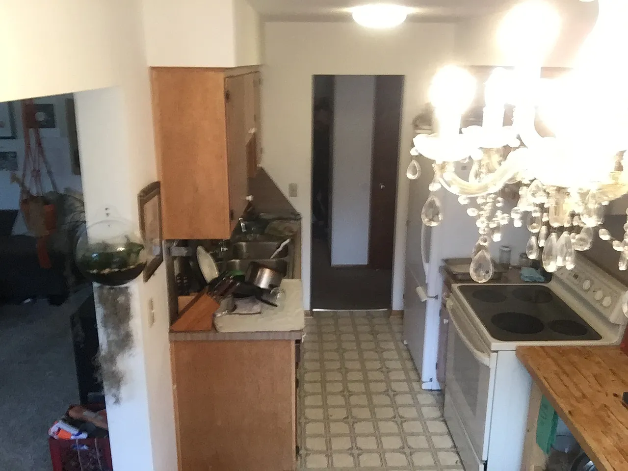 2 bed, 1000 sqft, $1,475 — Photo 3
