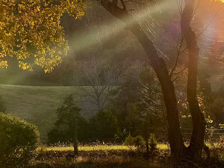 Sunset from the front porch
