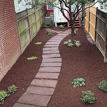 Back yard