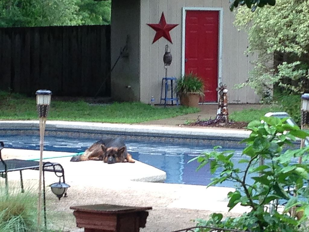 522 Old Tory Trl, Aiken, SC 29801 Zillow