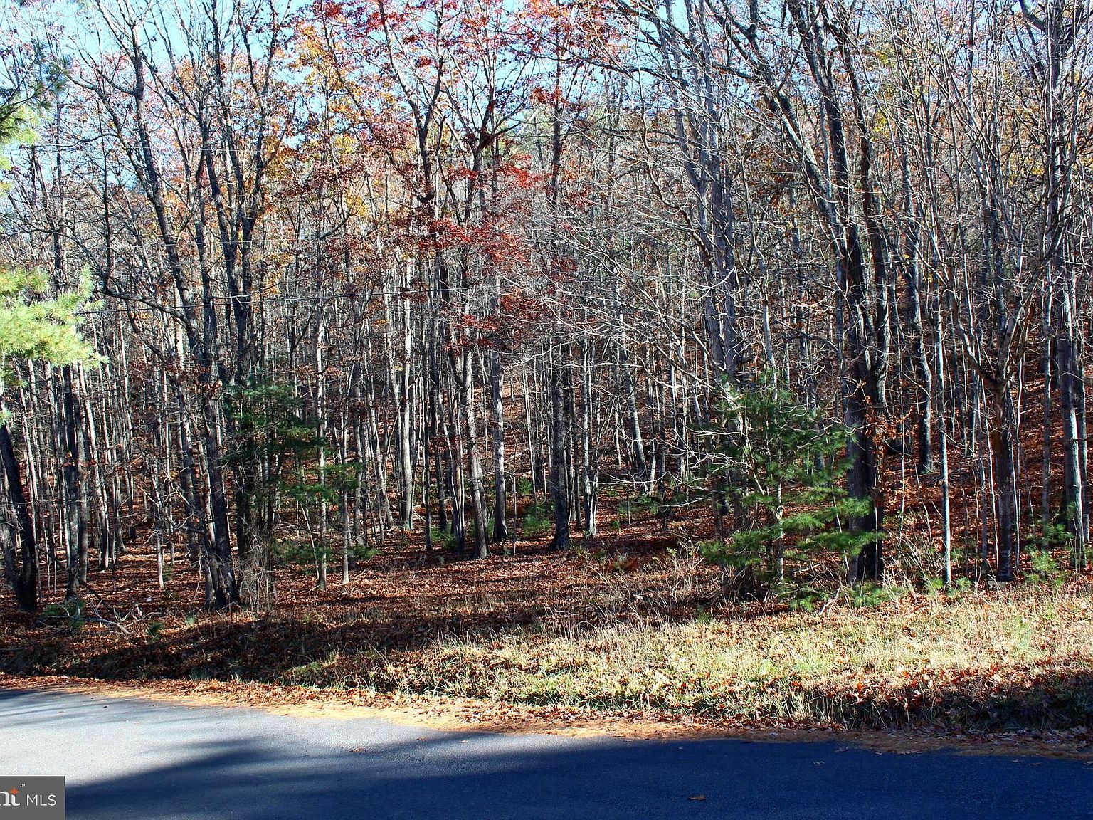 0 Dry Run Rd 22.72, Sugar Grove, WV 26815 MLS WVPT2000566 Zillow