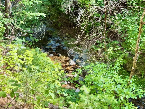 1080 Democrat Hts, Weaverville, CA 96093