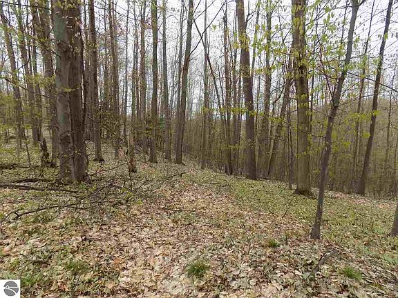 4th image of LOT 12 Eagles Nest Dr