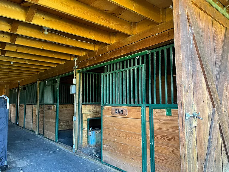Optional horse boarding