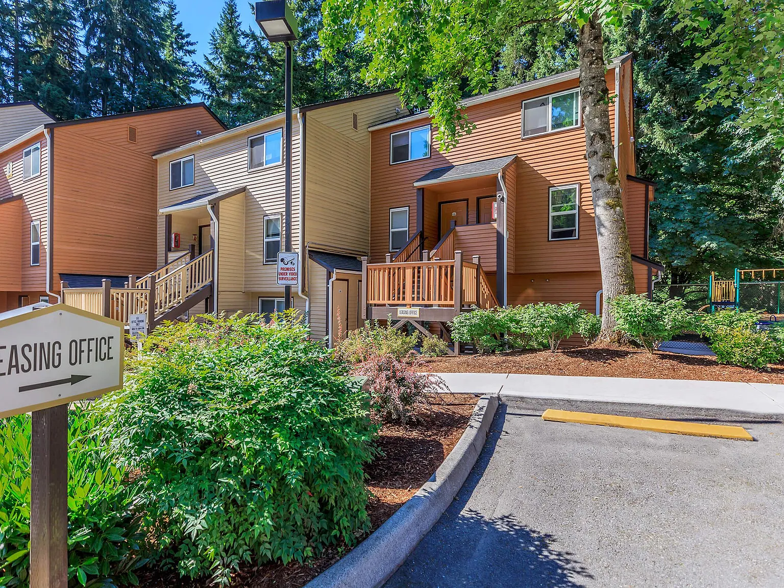 Alpine Ridge — Photo 4