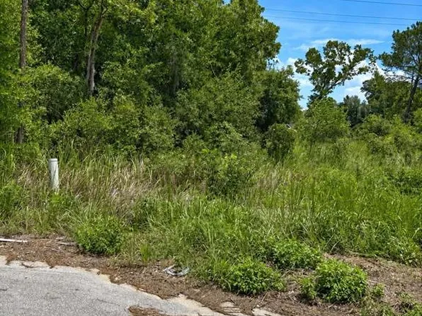 WATER TRACK LOT 08 LOT 8, OCALA, FL 34477