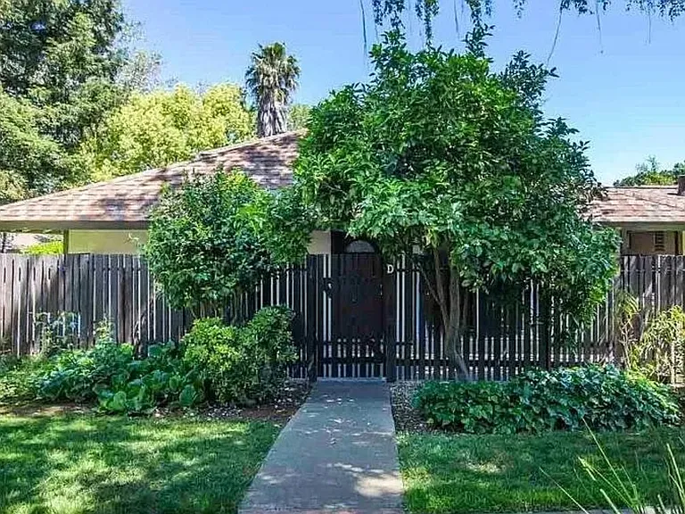 5505 Roundtree Dr #D — Photo 10
