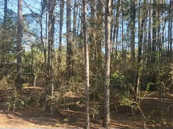 LOT 5 Walnut Tree Ln, Plantersville, TX 77363