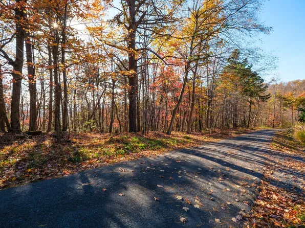 Old Stony Ridge Rd, Afton, VA 22920