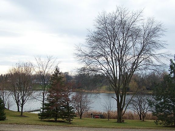 Lakeviews from Home!