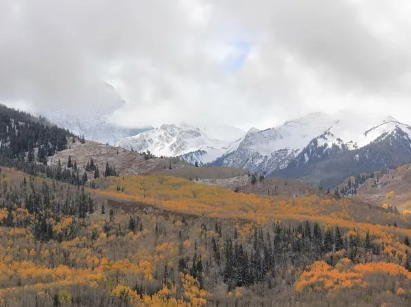 15248 Harrison Creek Rd, Collbran, CO 81624