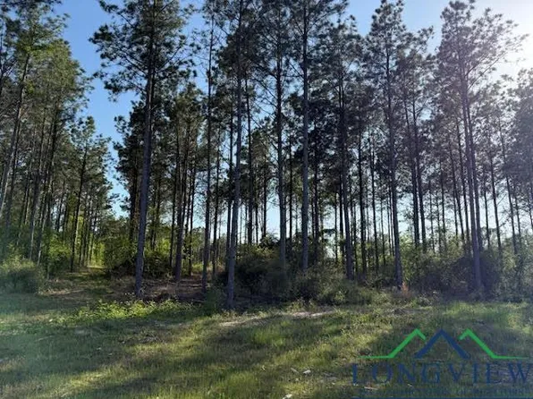County Road 212, Beckville, TX 75631