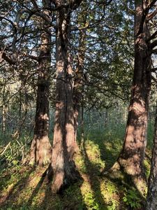 32XX Zimmerman Rd, Duluth, MN, 55804