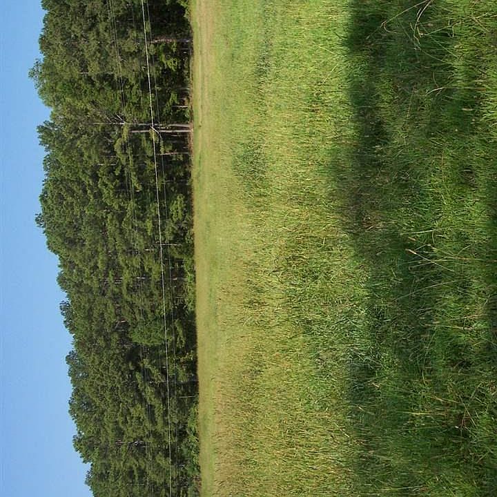 2nd image of 2 Spunky Hollow Rd #2