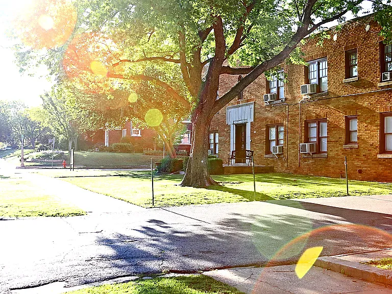 The Vintage at Mesta Park — Photo 2