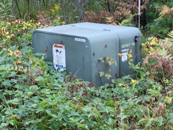 3rd image of 3735 Faust Lake Rd N