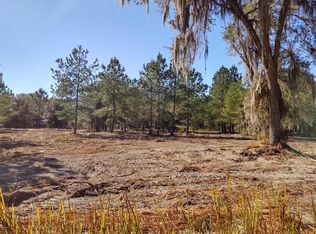 0 W Highway 316 Hwy, Reddick, FL 32686