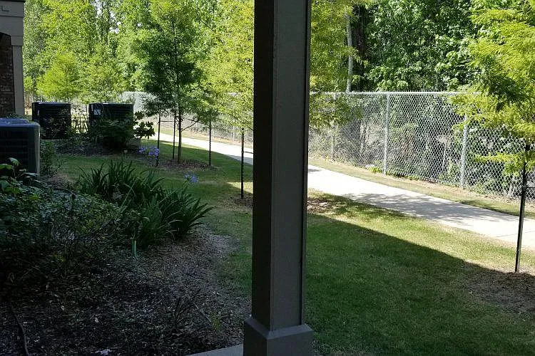 Cypress Springs — Photo 12