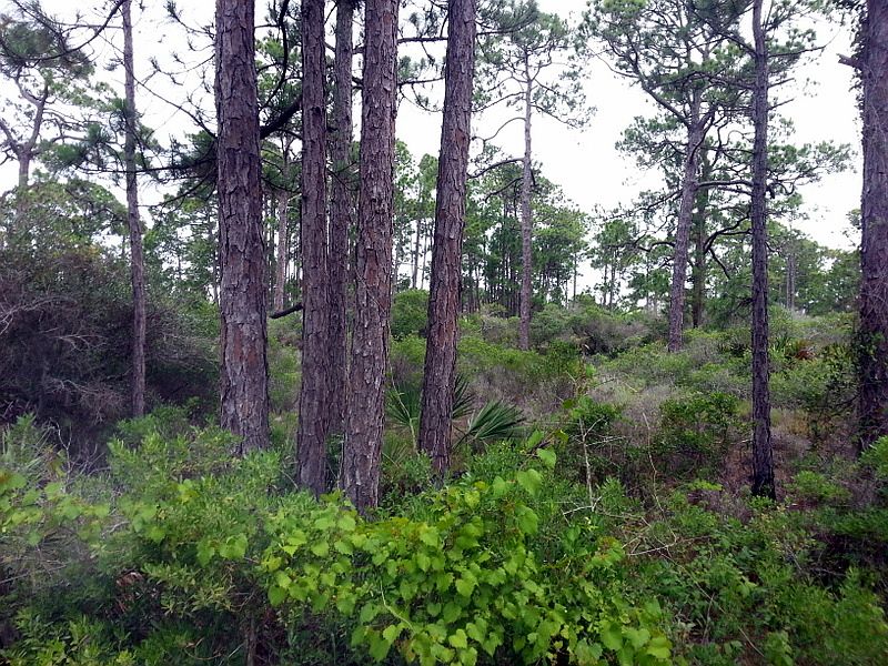 1st image of 106 Plover Dr