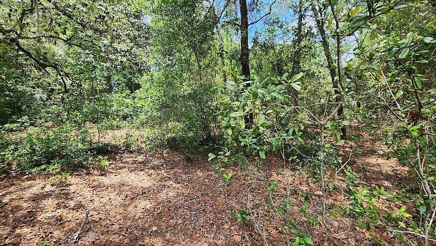 1st image of LOT 38 SE 99th Ct Lot 38