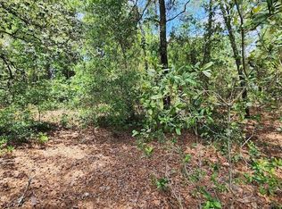 LOT 38 SE 99th Ct LOT 38, Summerfield, FL 34491
