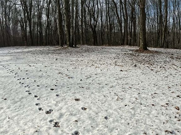 3rd image of 0 Lonesome Hollow Ln