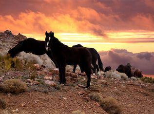 1761 Lousetown Rd, Reno, NV 89521